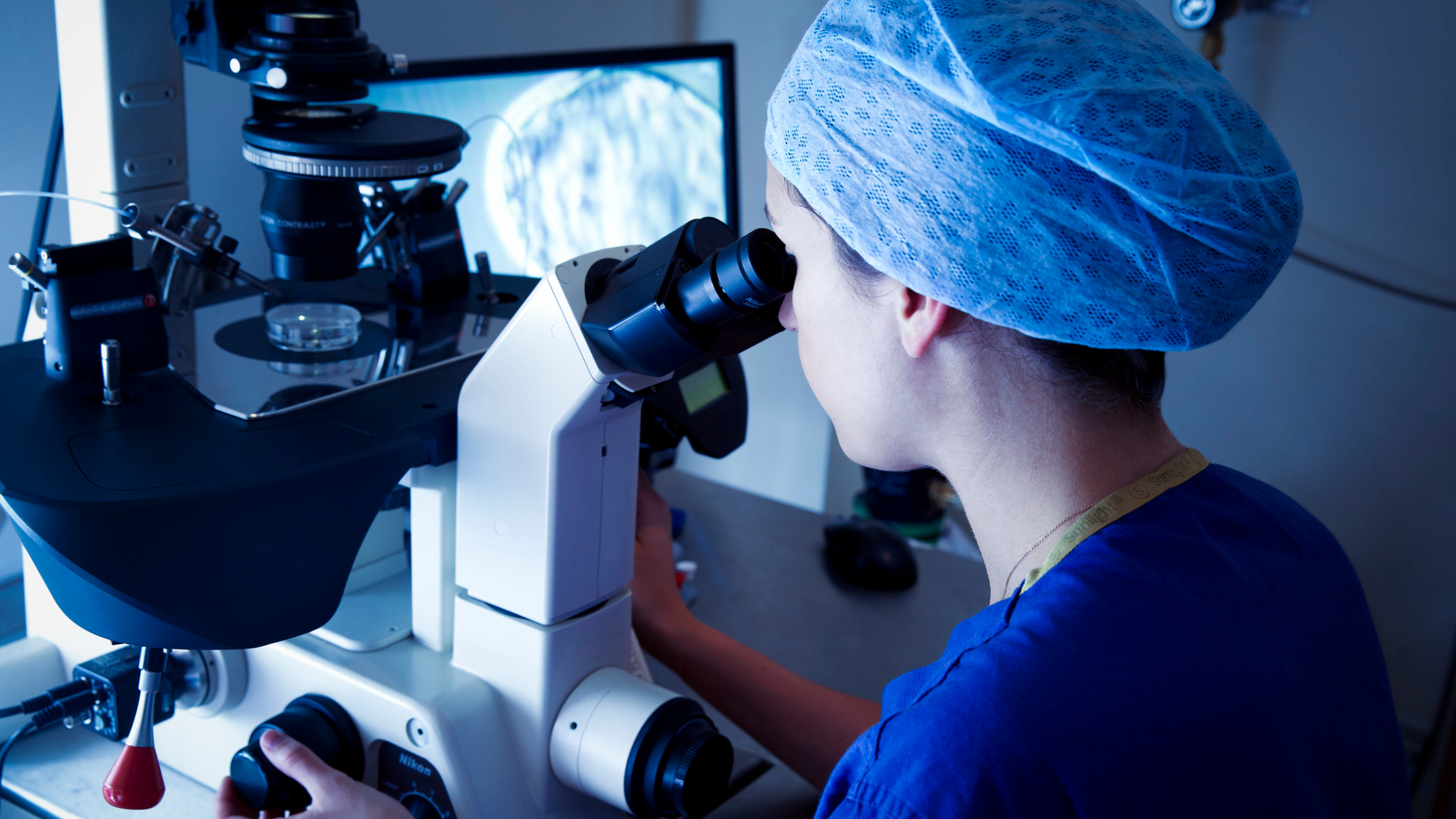 Common Myths and Facts About IVF Treatment